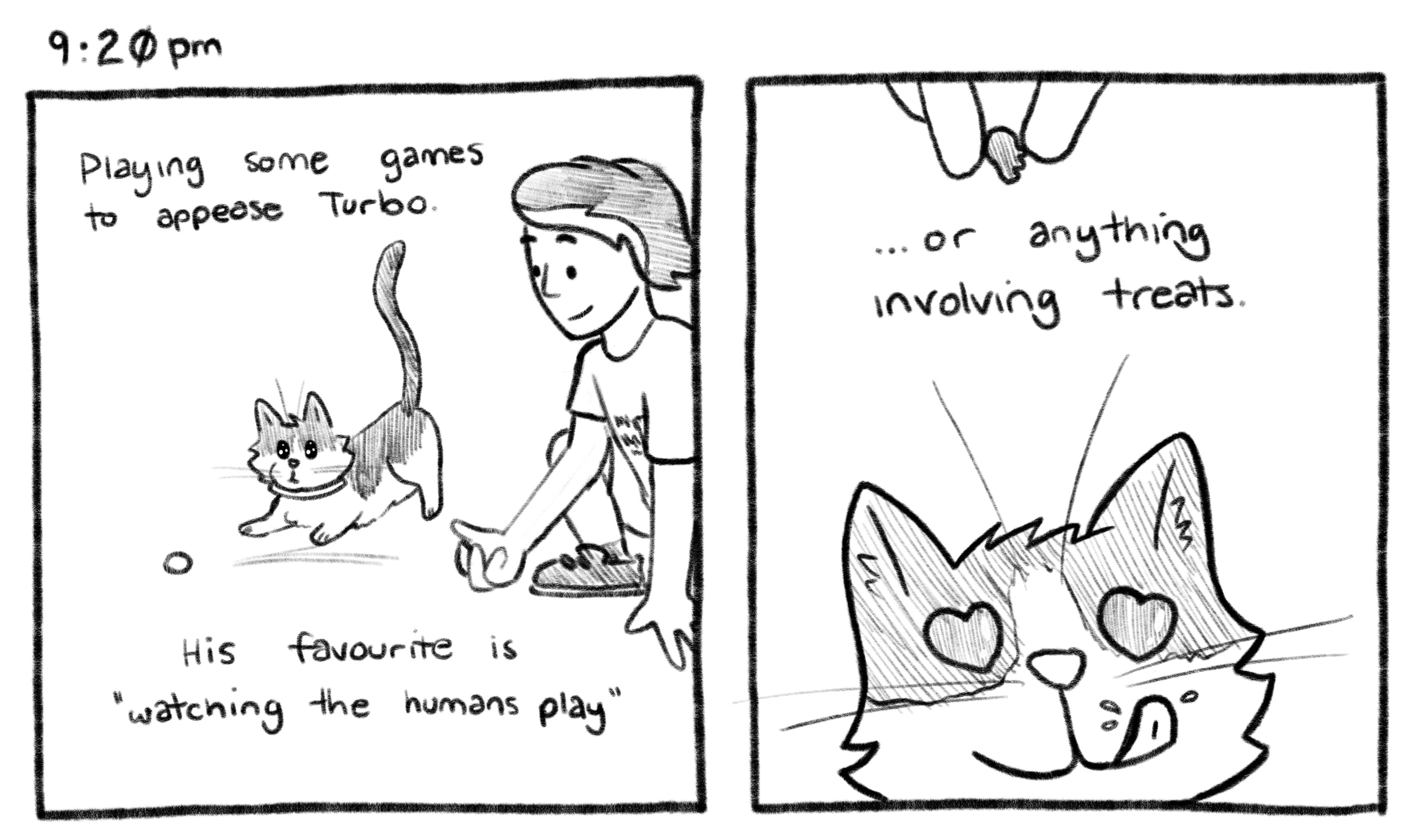 9:20pm; Panel 1: Jelly is rolling a ball, with Turbo looking on intently. Jelly V.O.: Playing some games to appease Turbo. His favourite is "watching the humans play". Panel 2: A treat is being held above Turbo's head, Turbo reacts with heart eyes and by licking his lips. Jelly V.O.: ...or anything involving treats.